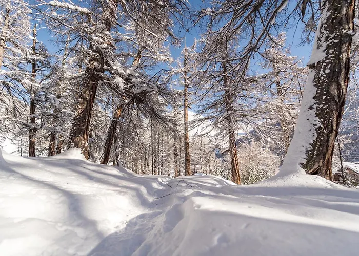 Appartamento Auriga *