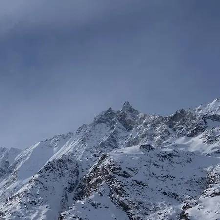 Auriga Appartement Saas Fee
