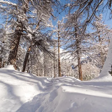 Appartement Auriga *